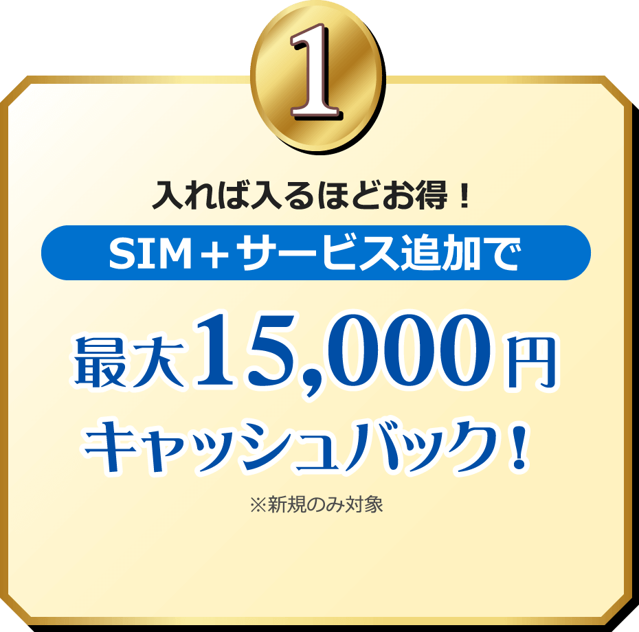 入れば入るほどお得！SIM＋サービス追加で最大15,000円キャッシュバック！