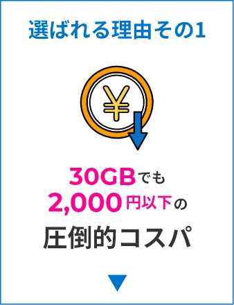 選ばれる理由その1：30GBでも2,000円以下の圧倒的コスパ