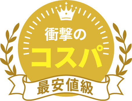 衝撃のコスパ 最安値級