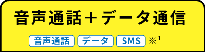 音声通話＋データ通信