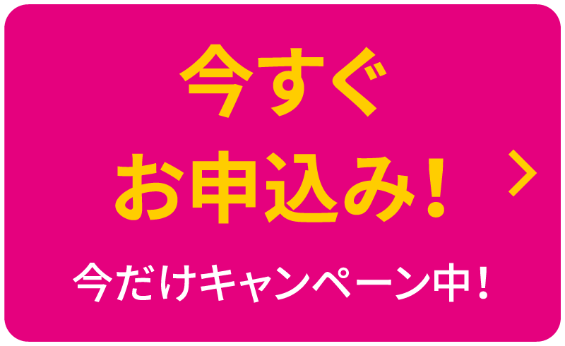 データ従量プラン