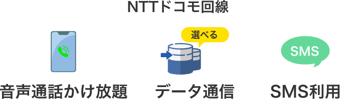 NTTドコモ回線 音声通話かけ放題 データ通信 SMS利用
