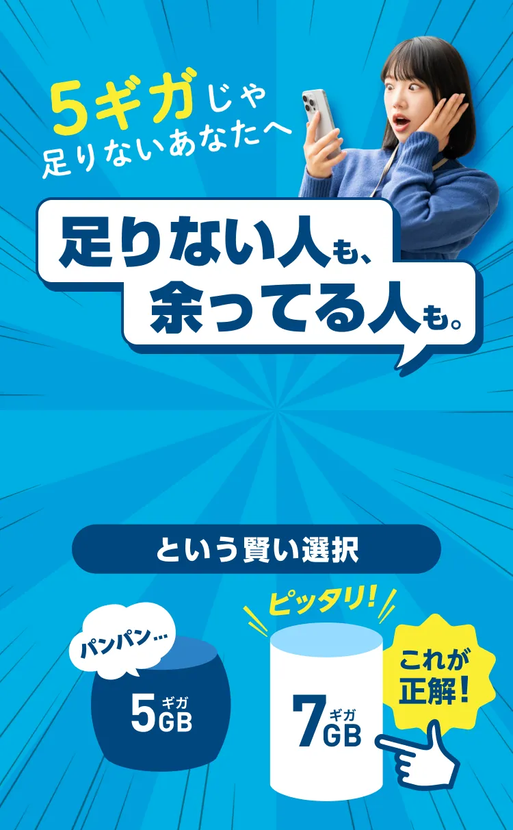 7GB990円(税込)という賢い選択