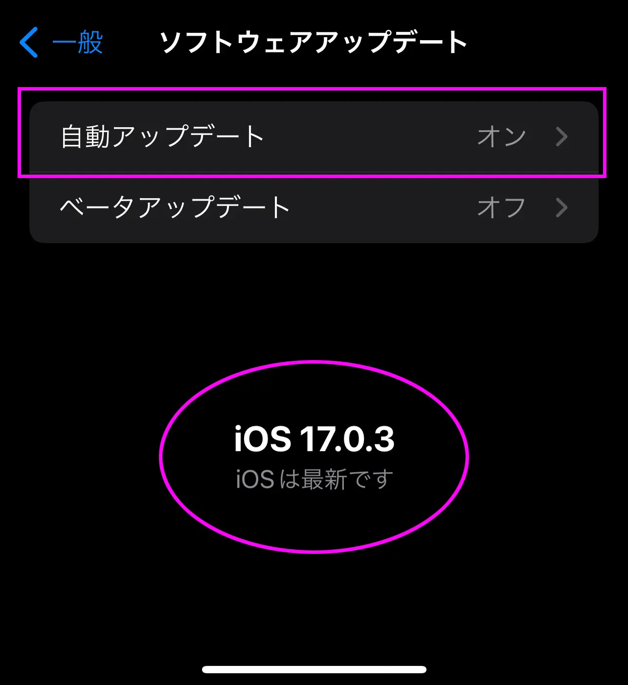 iPhoneセキュリティ強靭化～7つのプライバシー保護と5つのウイルス対策