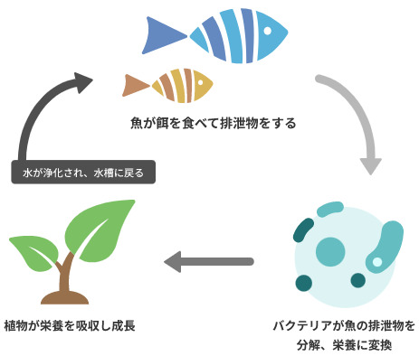 HISモバイル、環境モニタリングIoT「マナシステム®」向けに専用SIM・Wi-Fiルーターを提供開始 陸上養殖・水耕栽培の遠隔監視を通信面から支援