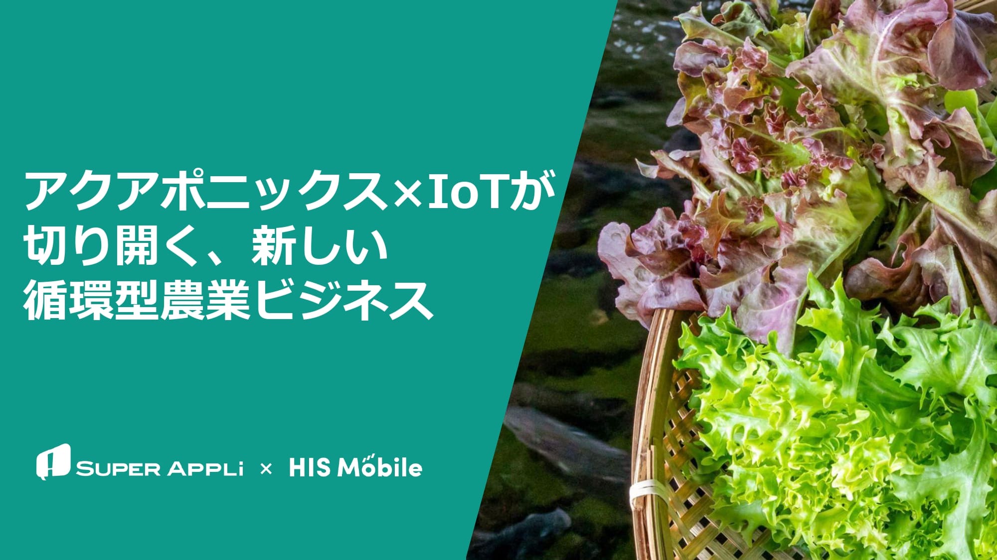 アクアポニックス×IoTが切り開く、新しい循環型農業ビジネス